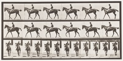 プレート580.ウォーキング;サドル;サラブレッドベイマーレアニーG.、1885 作： Eadweard Muybridge