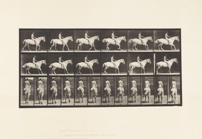 プレート582歩行用サドル、騎手（43歳、ヌード）、ライトグレーの馬（スミス 作： Eadweard Muybridge