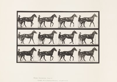 プレート588.ウォーキング;不機嫌;ベイホースルーベン、1885 作： Eadweard Muybridge