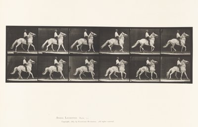 プレート589.Ambling 作： Eadweard Muybridge