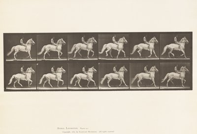 プレート590。 作： Eadweard Muybridge