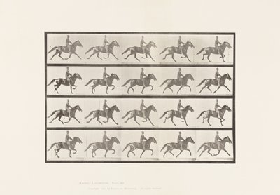 プレート591.ロッキング 作： Eadweard Muybridge