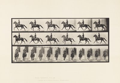 プレート 593ロッキング（ペーシング）。サドル；ブラウンホース・プロント 作： Eadweard Muybridge