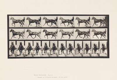 プレート 595ロッキング（ペーシング）。サルキー；ブラウンホースプロント 作： Eadweard Muybridge