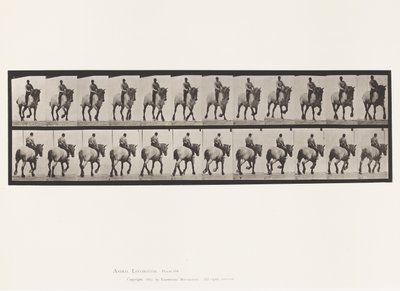 プレート599トロッティング・ベアバック・ダークグレー・デューゼル 作： Eadweard Muybridge
