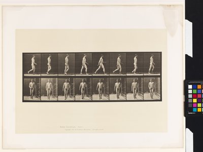プレート5.ウォーキング 作： Eadweard Muybridge
