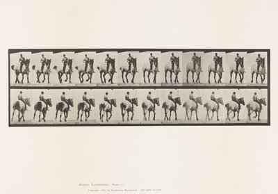 プレート600トロッティング・ベアバック・ダークグレー・デューゼル 作： Eadweard Muybridge