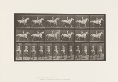 プレート602.Trotting; Bareback;ライダー、43、ヌード;ライトグレイホーススミス、1885 作： Eadweard Muybridge