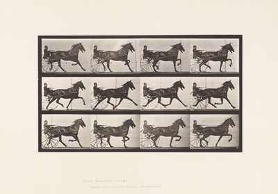 プレート606トロッティング、サルキー、ベイホース、ルーベン 作： Eadweard Muybridge