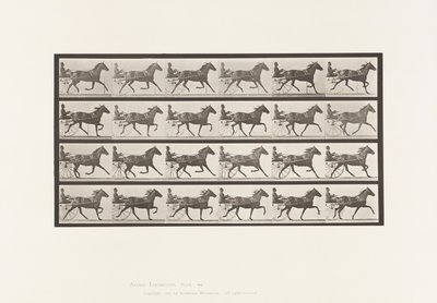 プレート609。Trotting; Sulky; Bay Mare, Lizzie M. 作： Eadweard Muybridge