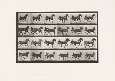 プレート613。トロッティング；サルキー；ソレル牝馬ネリーローズ 作： Eadweard Muybridge