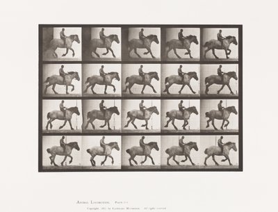 プレート 615 キャンター：ベアバック ダークグレーのベルギー馬 ハンセル 作： Eadweard Muybridge