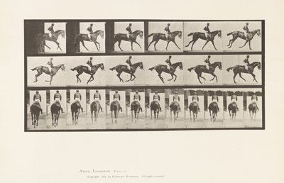 プレート620カンター；サドル；サラブレッド・ベイ・メア・アニー 6. 作： Eadweard Muybridge