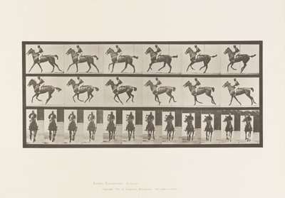 プレート621キャンター、サドル、サラブレッド・ベイ・メア・アニー 6 作： Eadweard Muybridge