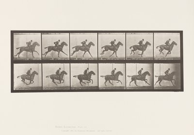 プレート624ギャロップ；サドル；ベイホース・デイジー 作： Eadweard Muybridge
