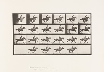 Plate 625.サラブレッド・ベイホース・ブーケ「ギャロップ 作： Eadweard Muybridge