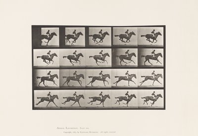 プレート627サラブレッド・ベイメア・アニーGのギャロップ 作： Eadweard Muybridge