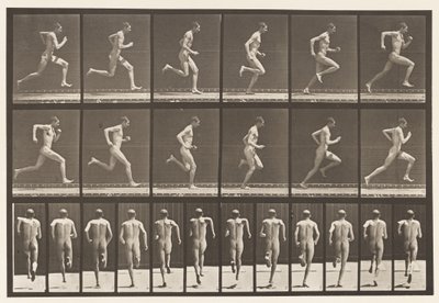 プレート62.全速力で走る。、1872-1885 作： Eadweard Muybridge