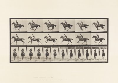 プレート632ギャロップ、サドル、サラブレッド・ベイホース・ブーケ 作： Eadweard Muybridge
