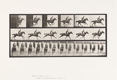 プレート633ギャロップ、サドル、サラブレッド・ベイホース・ブーケ 作： Eadweard Muybridge
