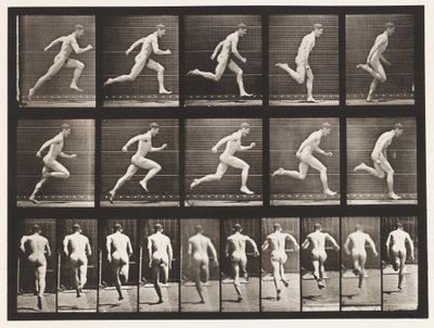 プレート63。フルスピードで実行します。 作： Eadweard Muybridge