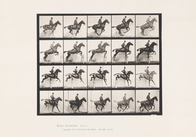 プレート 640ハードル跳び；鞍；ベイホース・デイジー 作： Eadweard Muybridge