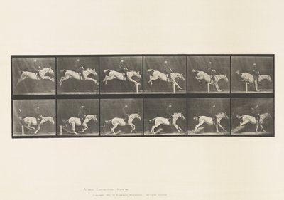 プレート 641ハードルを跳ぶこと、鞍、ハードルを越えることと 作： Eadweard Muybridge