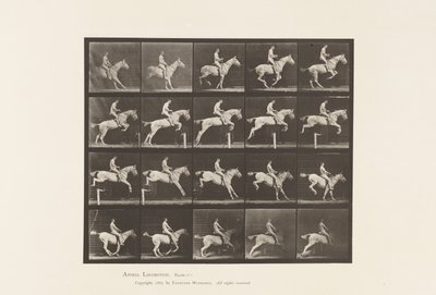 プレート642。ハードルをジャンプします。サドル;ライダー、105、ヌード;グレイマーレ、1885年 作： Eadweard Muybridge