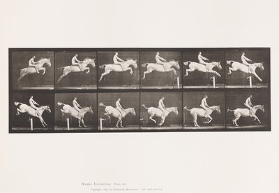 プレート643.ハードルを跳ぶ；ベアで；クリアリングとランディング 作： Eadweard Muybridge