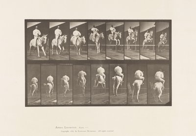 プレート 644ハードルを跳ぶ、サドル、クリアリングとランディング 作： Eadweard Muybridge