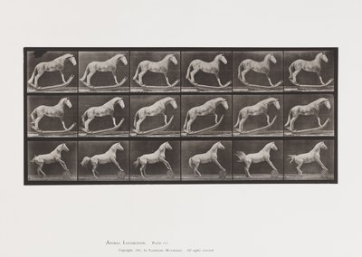 プレート649.A、ホーネット、ロッキング、B、イーグル、ローリングバレル、など。 作： Eadweard Muybridge