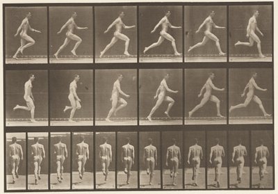 プレート64。フルスピードで実行 作： Eadweard Muybridge