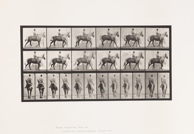 プレート653歩くこと；鞍；跛行、右前足；馬-バックスキン 作： Eadweard Muybridge