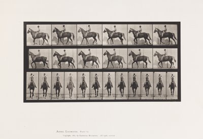 プレート 654歩くこと；鞍；跛行、右前足；馬-バックスキン 作： Eadweard Muybridge