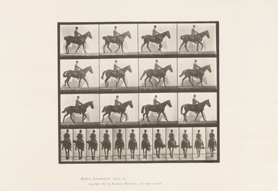プレート655歩行、鞍、右後肢のスパビン、馬 作： Eadweard Muybridge
