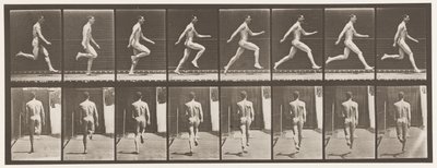 プレート65.全速力で走る。、1872-1885 作： Eadweard Muybridge