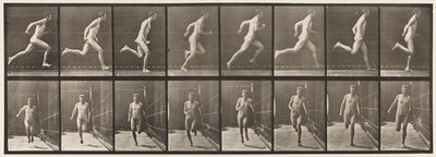 プレート67。ランニング、1872〜1885 作： Eadweard Muybridge