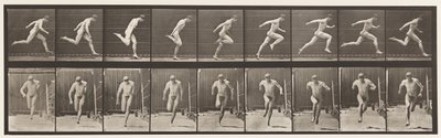 プレート68。ランニング、1872〜1885 作： Eadweard Muybridge