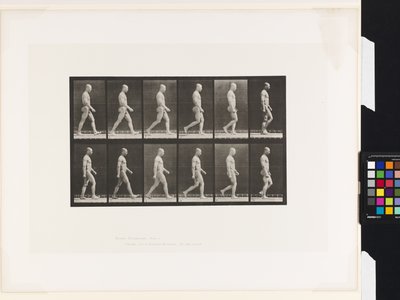 プレート 6.Walking 作： Eadweard Muybridge