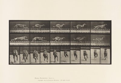 プレート 708犬；ギャロッピング；ブラウン・レーシング・ハウンド 作： Eadweard Muybridge