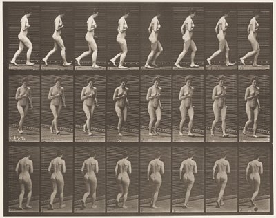 プレート70。ランニング。1872-1885 作： Eadweard Muybridge