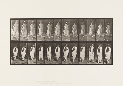 プレート71.Running、1885 作： Eadweard Muybridge