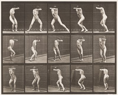プレート73. 1872〜1885年のサプライズでの振り返りと逃走 作： Eadweard Muybridge