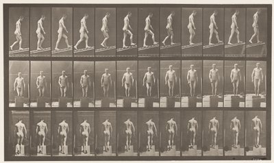 プレート74。上昇傾斜、角度1 in 4 作： Eadweard Muybridge