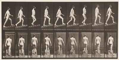 プレート75。昇順傾斜、角度1、4、1872〜1885 作： Eadweard Muybridge