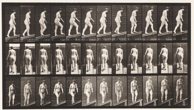 プレート77。上昇傾斜 作： Eadweard Muybridge