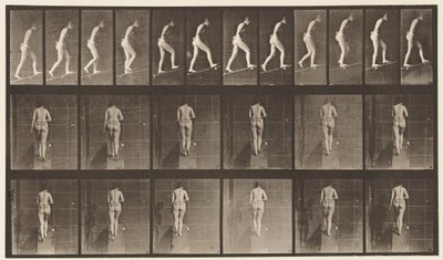 プレート79。上昇傾斜 作： Eadweard Muybridge