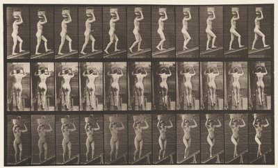 プレート80。上昇傾斜 作： Eadweard Muybridge