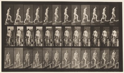 プレート81。上昇傾斜。 作： Eadweard Muybridge