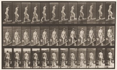 プレート82。上昇する傾斜、両手に水のバケツ 作： Eadweard Muybridge